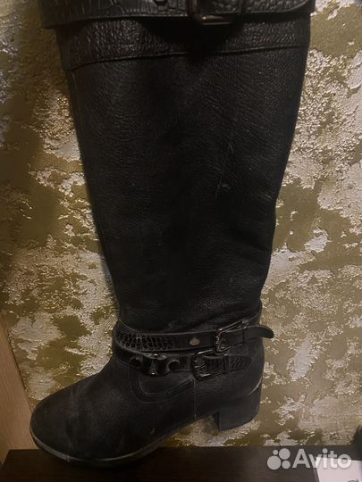 Сапоги женские весна кожа