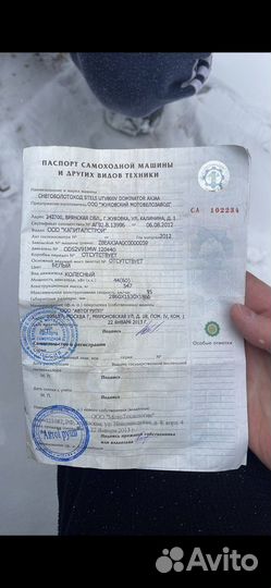 Багги Стелс 800