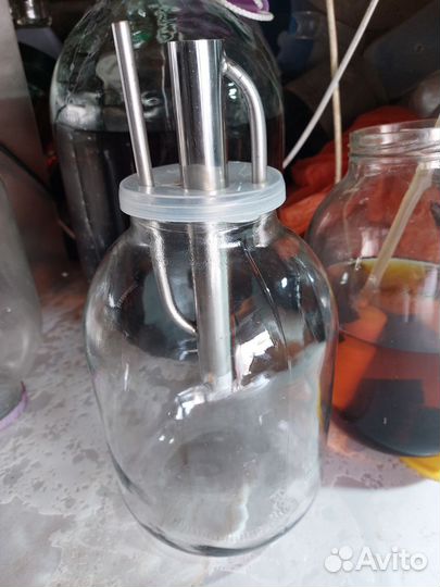 Попугай на банку