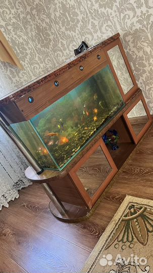 Аквариум с рыбками