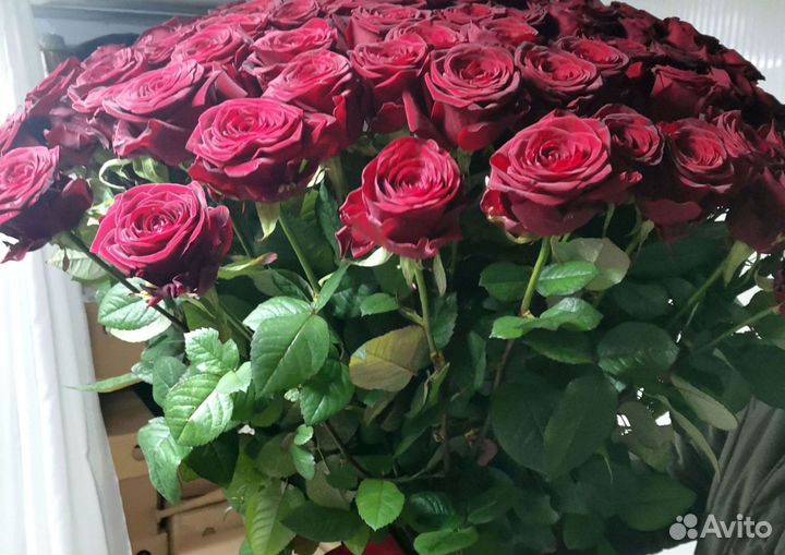 Розы, букет цветов