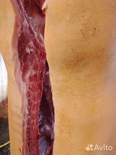 Мясо свинина