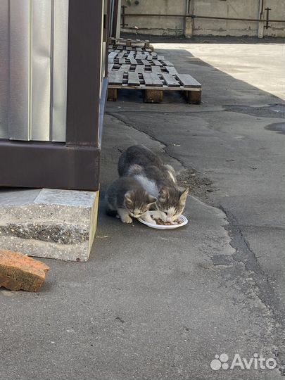 Малыши нуждаются в помощи