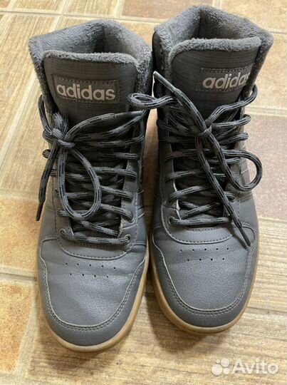 Кроссовки Adidas Hoops 2.0 mid