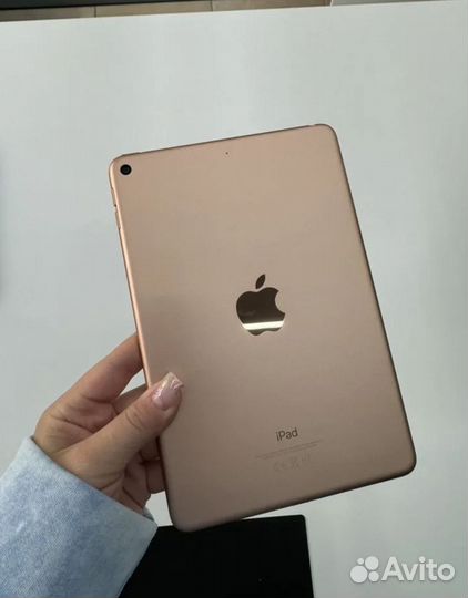 iPad mini 5 64gb cellular