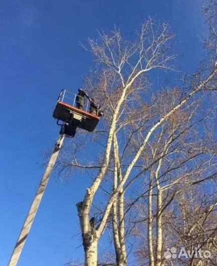 Спил деревьев обрезка веток корчевание пней