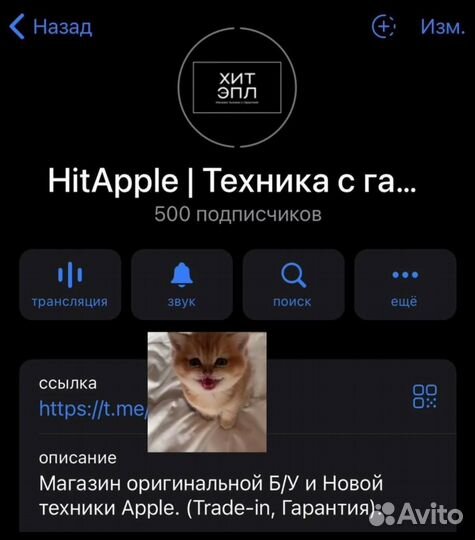 iPhone 13 mini, 128 ГБ