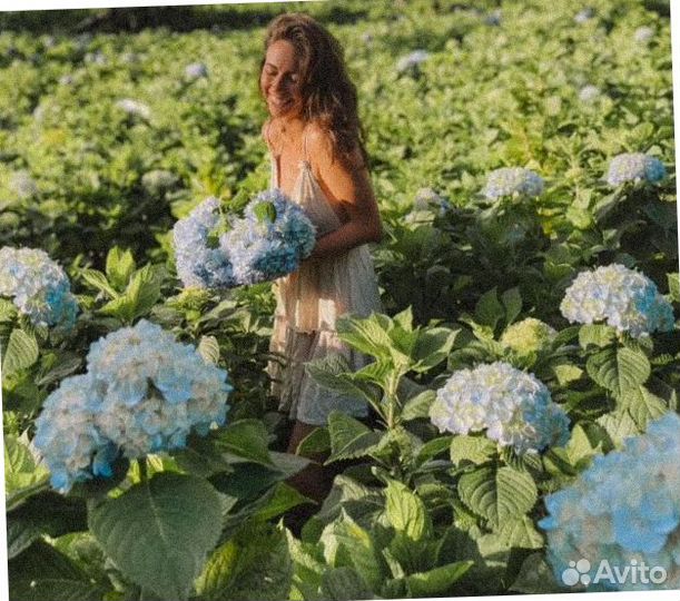 Тур на о. Бали от 4-5* с завтраком