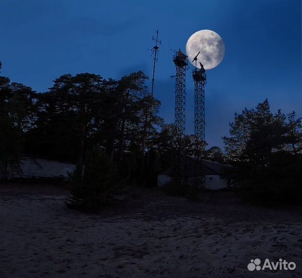 Прогулка по островам Финского залива