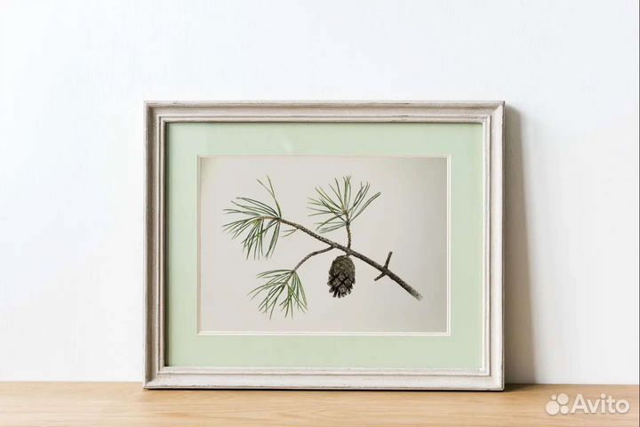 Акварельная картина 