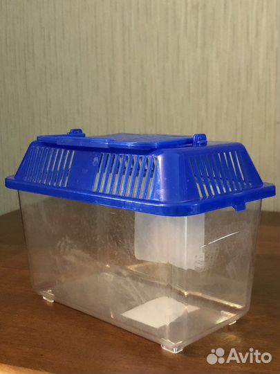 Сирийский хомяк с клеткой