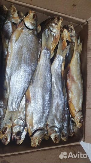 Рыбец вяленый Астрахань февраль 2024