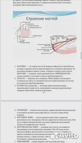 Методическое пособие по маникюру