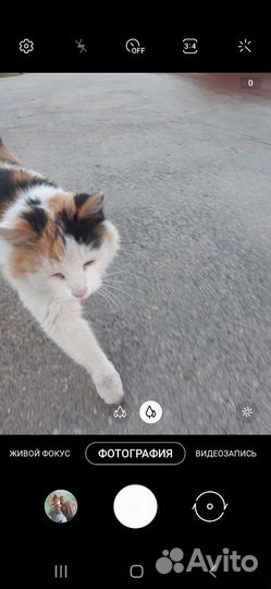 Котенок