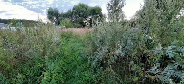 Участок 19 сот. (ИЖС)