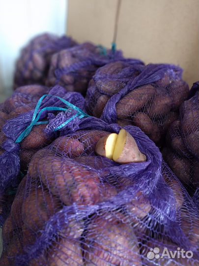 Продам картофель