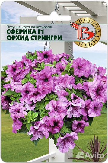 Петуния Сферика семена