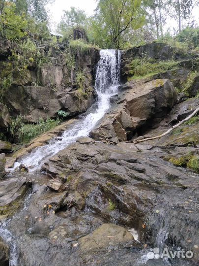 Экскурсии по Новосибирской области