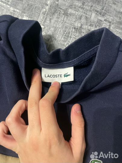 Джемпер lacoste оригинал