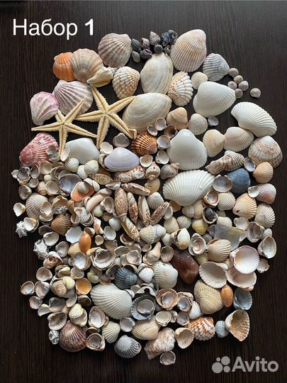 Ракушки набором