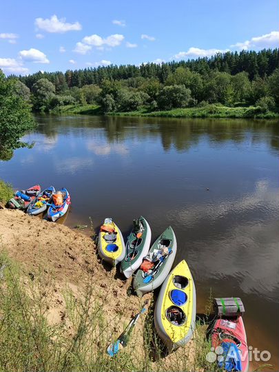 Корпоративные сплавы на байдарках и SUP бордах