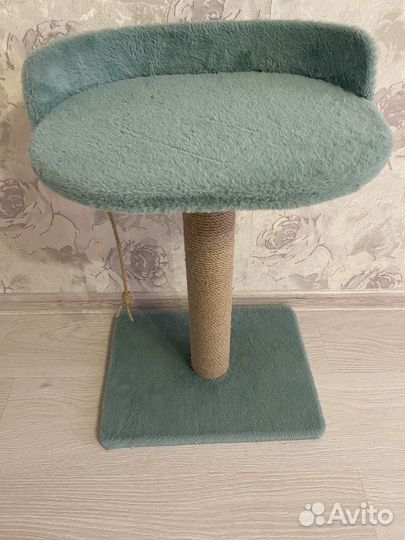 Когтеточка