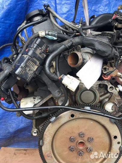 Двигатель Ford Taurus D186 3.0L sohc smpi 12-valve