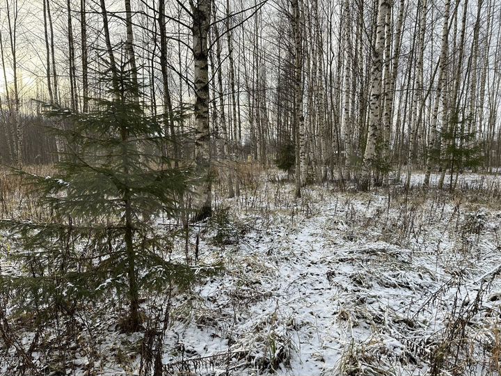 Участок 10 сот. (ИЖС)