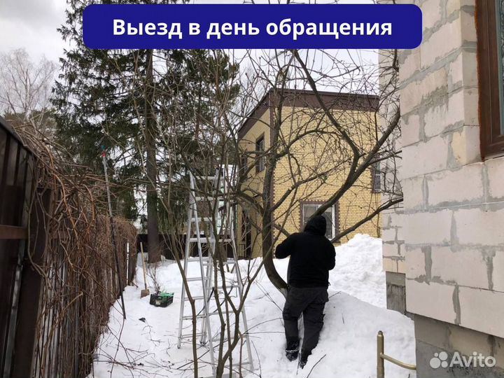 Спил и удаление деревьев