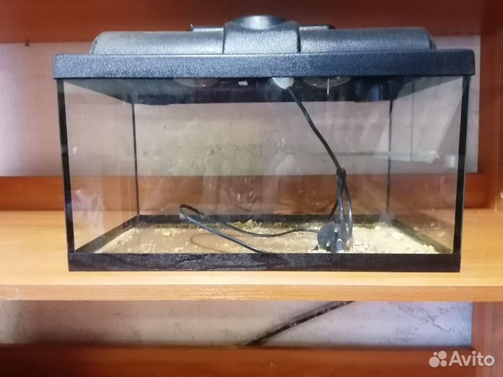 Аквариум
