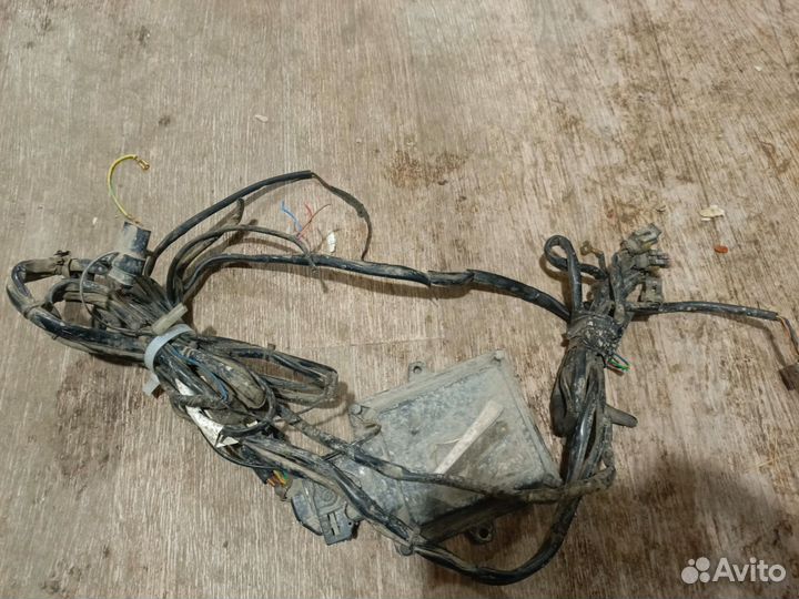 Газовое оборудование на авто бу