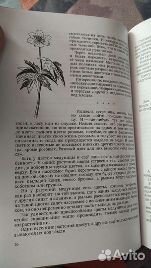 Четыре времени года. 1949