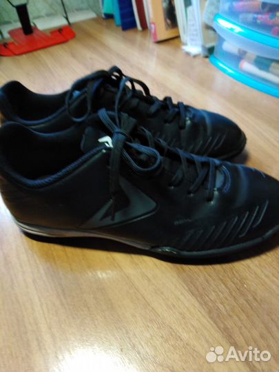 Сороконожки