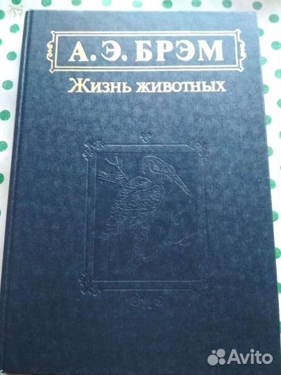 Три тома энциклопедии Брема о животных