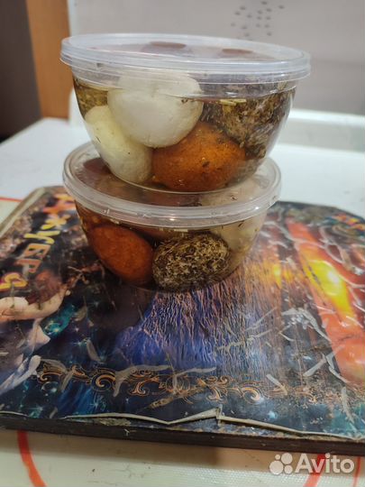 Козье молоко. Сыр. Творог. Сметана