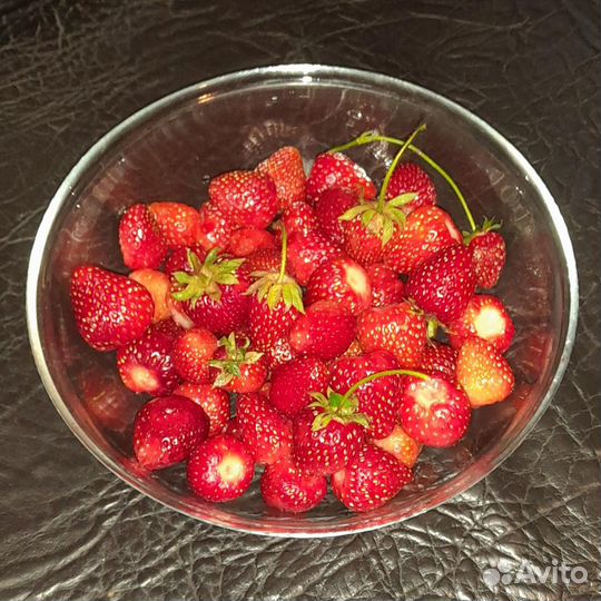 Саженцы земляники клубники