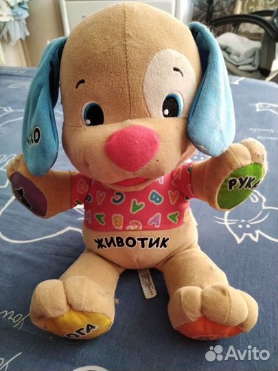 Собака развиваюшая детская