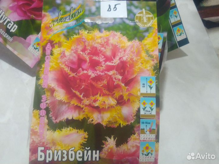 Тюльпаны махровые