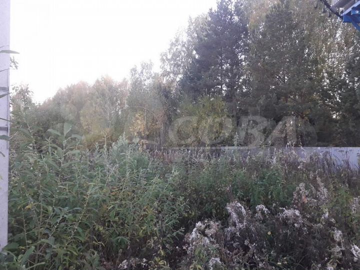 Участок 10 сот. (СНТ, ДНП)