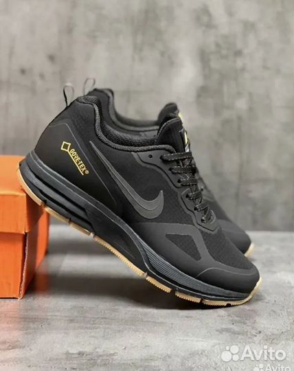 Кроссовки Nike pegasus gtx