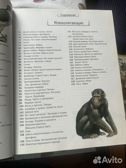 Энциклопедия животные