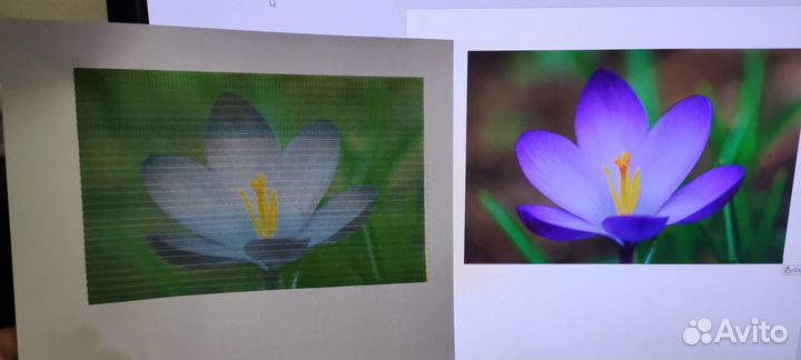 Мфу canon pixma mg 3640s