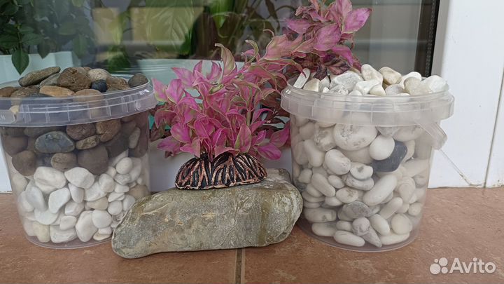 Для аквариума