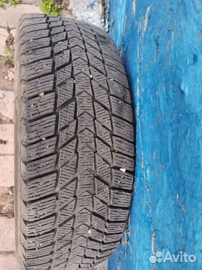 Nexen Winguard Ice Plus 195/65 R15 95T