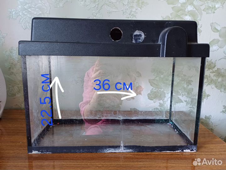 Аквариум отсадник