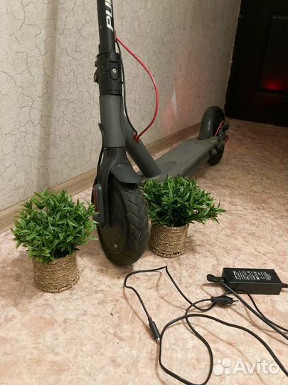 Электросамокат Pulse