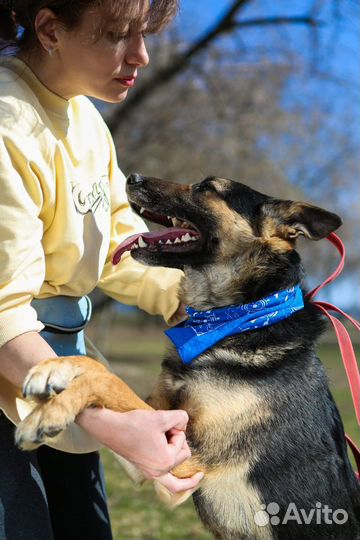 Мододой мальчик Лукум