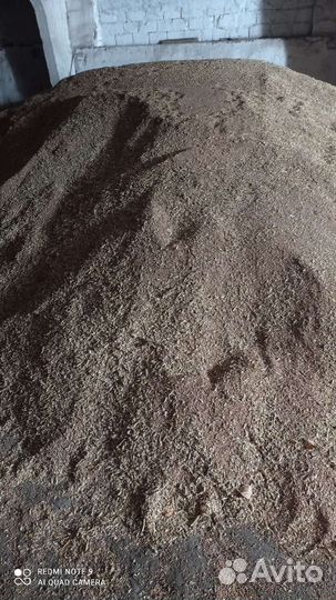 Пшеница, отходы пшеницы, кукуруза