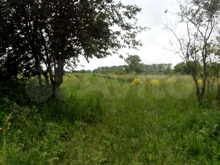 Участок 49,1 сот. (ИЖС)