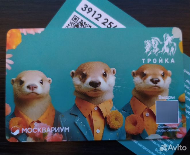 Карта тройка Москвариум выдры